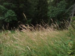 2013-09-08_7Falkenhuette_Eng (058).JPG